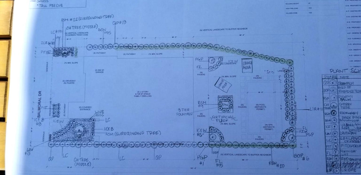 Landscape plan showing a planting layout